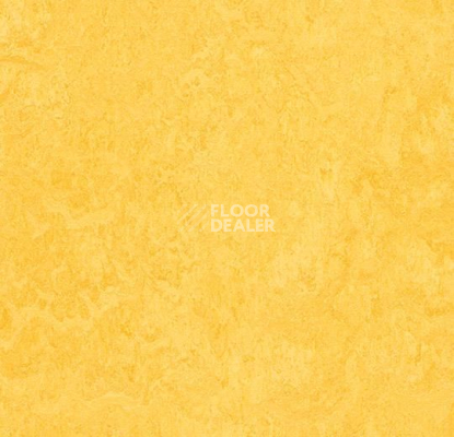 Кварцвиниловые полы Marmoleum Modular t3251 lemon zest фото 1 | FLOORDEALER